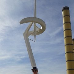 IMG 317
